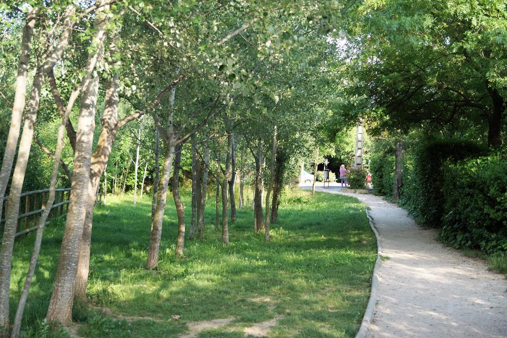 Colombe Apartment LʼIsle-sur-la-Sorgue Екстериор снимка